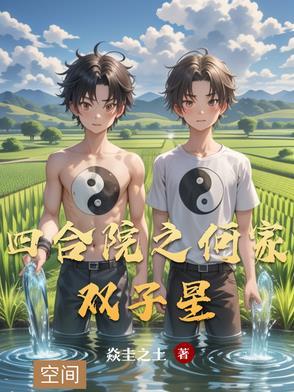 四合院之何家双子星 四合院之何家双子星