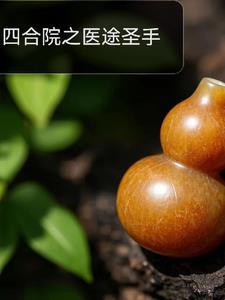 四合院之医途圣手 四合院之医途圣手