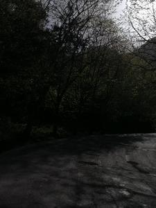 凝望仙路 凝望仙路