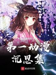 第一动漫沉思集 第一动漫沉思集
