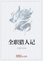 全职猎人记 全职猎人记